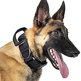 OneTigris Hunde Halsband mit Metallschnalle für Hunde (Schwarz, L)
