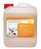 pondovit Biovital 5000 ml Milchsäurebakterien, probiotische Filterbakterien, Koi, Teich