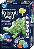 Franckh-Kosmos Fun Science Geheimnisvolle Kristallwelt: Experimentierkasten