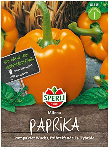 Sperli Premium Paprika Samen Milena ; Frühreifend, Ertragreich, große Früchte ; Paprika Saatgut