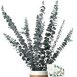 Eukalyptus Getrocknet - Natürliche Trockenblumen, 11 Stück Set Enthält Grußkarten, Eukalyptus echt ewig Haltbare Trockenblumen, Dekoration für die perfekte Hochzeit、Blumen Arrangements Heim Decor