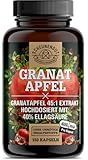 Granatapfel Kapseln -2400mg je Tagesdosis- WICHTIG: 45:1 Extrakt (=108000mg reine Granatapfelkerne) +40% Ellagsäure I 150 Granatapfel Extrakt Kapseln -Laborgeprüft- DE SCHEUNENGUT®