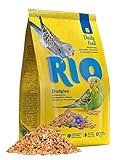 RIO Budgries | 1 kg | Alleinfuttermittel für Wellensittiche | Enthält gesunde Saaten und Getreide | Mit Algen und Calciumgluconat für eine gesunde und ausgewogene Ernährung