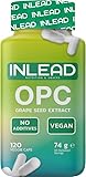 INLEAD - OPC Traubenkernextrakt | Hochdosiert mit 350 mg OPC pro Kapsel | 100% Pflanzlich & ohne Zusatzstoffe - 120 Kapseln