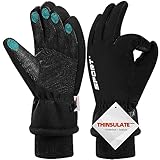 DYGSWIN Wasserdicht Winterhandschuhe, Skihandschuhe Touchscreen Handschuhe Herren Damen, 3M Thinsulate Warme Fahrradhandschuhe für Laufen Skifahren Wandern Motorrad Radfahren