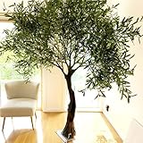 Großer künstlicher Olivenbaum – 2 m hohe Kunstseide mit Zweigen und Früchten für modernes Wohnzimmer, Büro, Bodendekoration, Innengeschenk