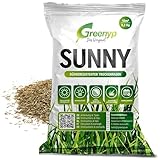 Greenyp® Sunny I dürreresistenter Trockenrasen I 0,2kg für 10m² I Grassamen Rasensamen Rasensaat Gras Nachsaat schnellkeimend