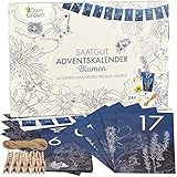 OwnGrown Blume Adventskalender 2025 - Nachhaltig Weihnachtskalender Satz - Pflanzensamen DIY Kalender Inklusive Schnur, Wäscheklammer, Umschlag Blau - Ideal Geschenke für Gartenliebhaber