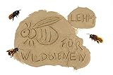 aktiongruen Lehmpulver zum Schließen & Einkleben von Niströhren /zum Basteln Bauen /Baumaterial für Wildbienen, 300 - 2000 gramm, Braun