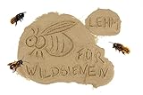 aktiongruen Lehmpulver zum Schließen & Einkleben von Niströhren /zum Basteln Bauen /Baumaterial für Wildbienen, 300 - 2000 gramm, Braun