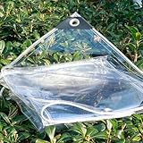 Transparente PVC-Plane, 0,35 mm dick, mit Ösen, transparente Markise, Überdachung für Garten, Gewächshaus, Pflanzen und Haustiere, 0,8 m x 1 m Größe