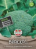 81043 Sperli Premium Brokkoli Samen Marathon | Aromatisch Zart | Ertragreich | Große Köpfe | Brokkoli Saatgut