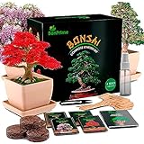 BonPrime Bonsai Starter Kit - Einsteigerfreundliches Set mit 4 Baumsorten - 4 Pflanzen-Töpfe aus Bambus, 4 Torfpellets, 4 Pflanzenmarker, Schere & Wasser-Sprühflasche, gedruckte (Bonsai Kit)