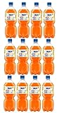 12 Flaschen Christinen ACE a 1 L inkl. EINWEGPFAND + Space Keks gratis a 45 g von Onlineshop Bormann