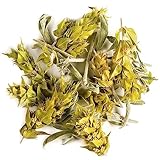 Griechischer Berg Kräutertee Bio Handverlesen - Ironwort Tee - Sidertis Scardia - Hirte'S Griechisch Tee Griechische Bergtee Griechisches Bergtee Bergkrautertee