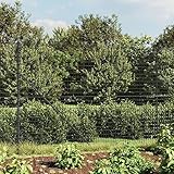 IKAYAA Maschendrahtzaun, Gartenzaun, Maschendrahtzaun Set, Maschendrahtzaun Komplettset, Steckzaun Metall, Teichzaun mit Bodenhülsen Anthrazit 2,2x25 m