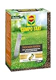 COMPO SAAT Trocken-Rasen, Hitze- und trockenverträgliche Rasensamen/Grassamen für trockene und sonnige Standorte, 2 kg, 80 m²