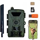 ZYJDGNNY Secacam 4G 4K 60MP Wildkamera mit Handyübertragung, Bewegungsmelder, 60° Winkel, SIM Karte, 32GB Speicherkarte - Professionelle Wildtierkamera