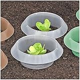 PROVISO TOOLS Schneckenkragen, Effektiver Schneckenschutz & Schneckenzaun ohne Schneckenkorn, Schneckenschutz Hochbeet, Schneckenschutzring, Schneckenabwehr, Transparent, 12 Stück, 23x19 cm
