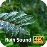 Rain Sounds | ASMR 2024