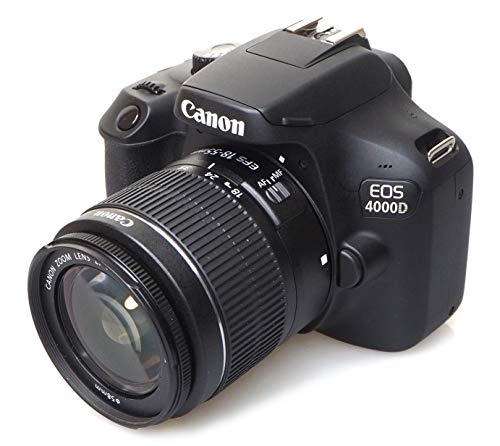 Canon Spiegelreflexkamera im Vergleich