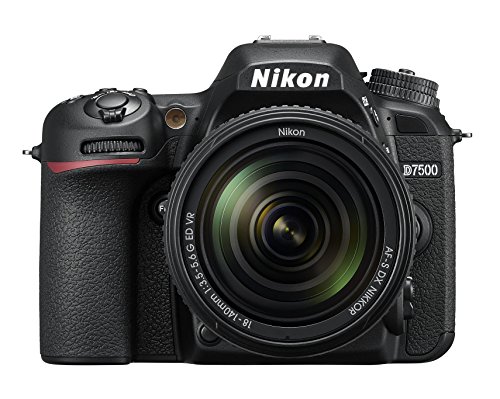 Nikon Spiegelreflexkamera im Vergleich